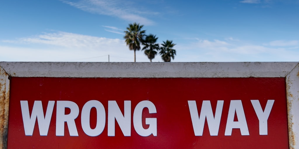 Rappresentazione visiva dell'articolo: Crescere in un paese che odia la crescita.